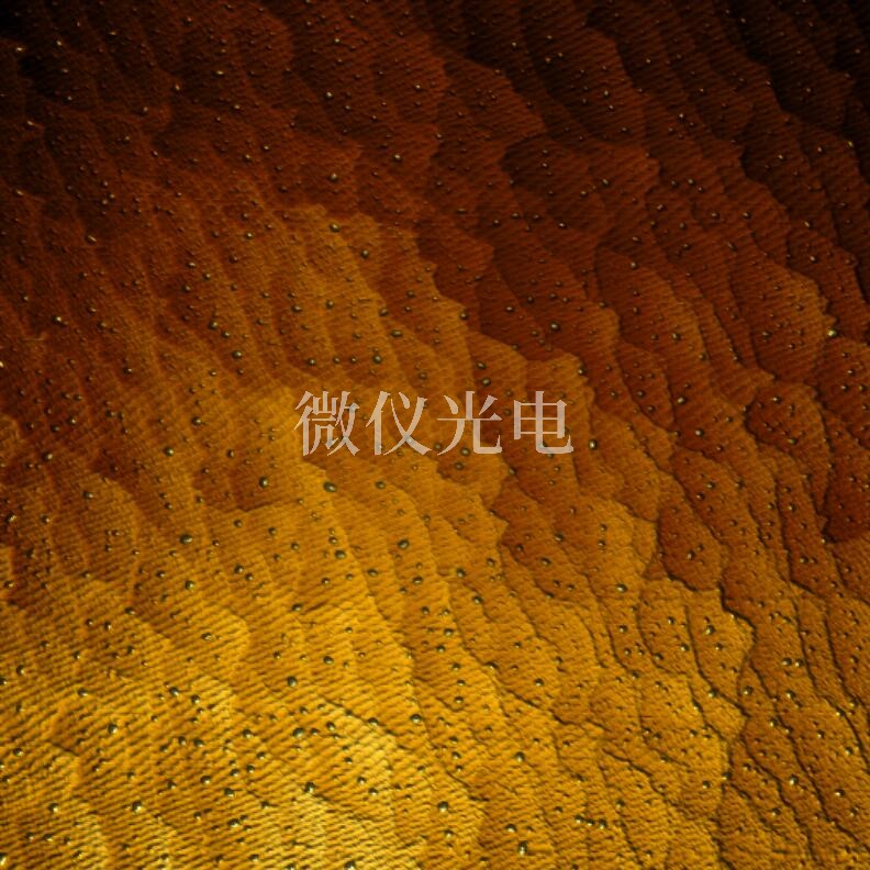 AFM原子力顯微鏡能觀察生物樣品嗎？
